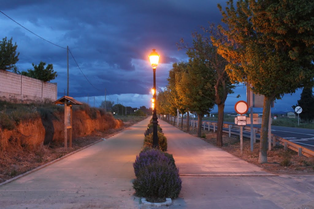 Paseo hacia la Virgen de la Cabeza, un día antes de la Romería (23-4-2011) by DnTrotaMundos ☮