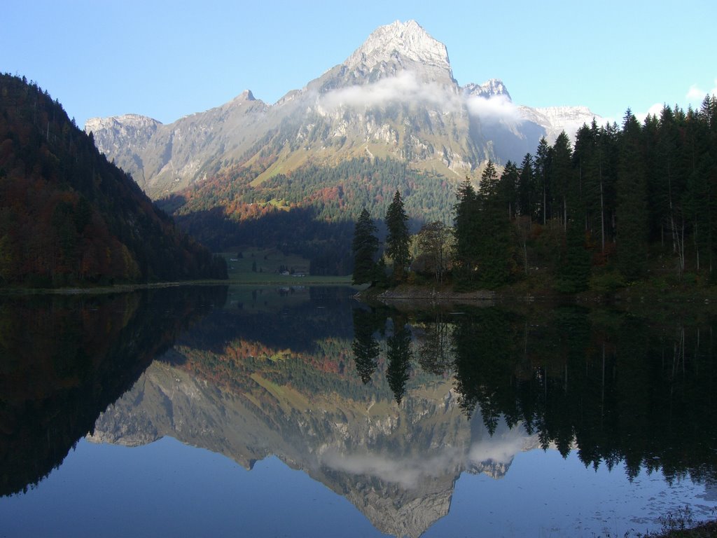 View from Obersee by roliwa