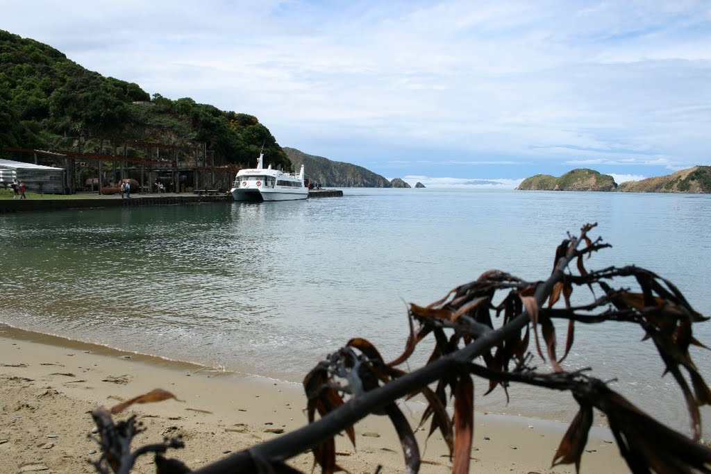 Old Whaling Station near Tory Channel, Queen Charlotte Sound by Kenepuru Gypsy