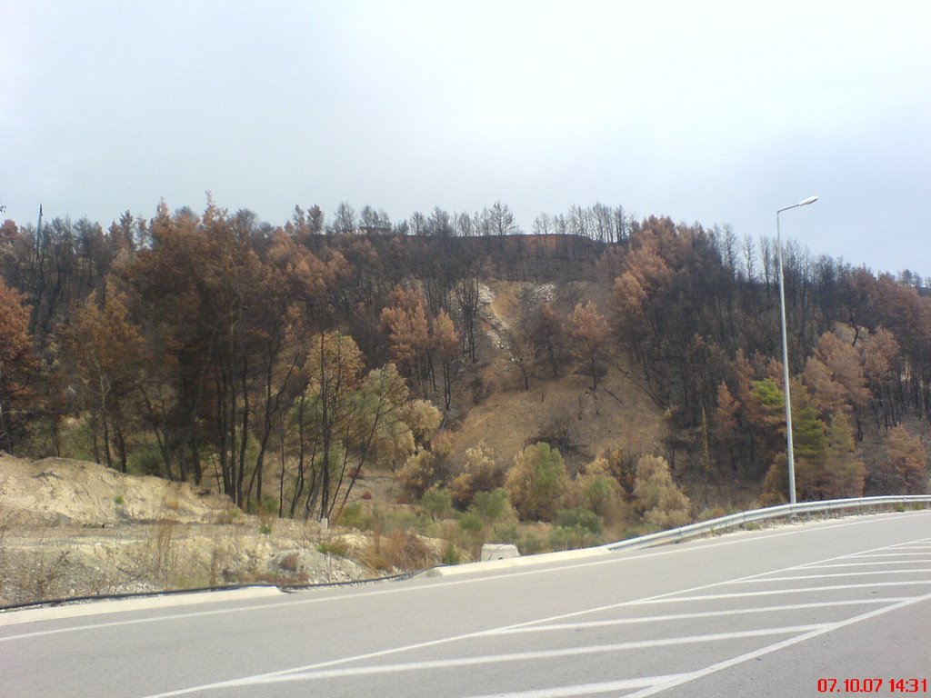 Greece, Wildfires, August 2007 by alkonst