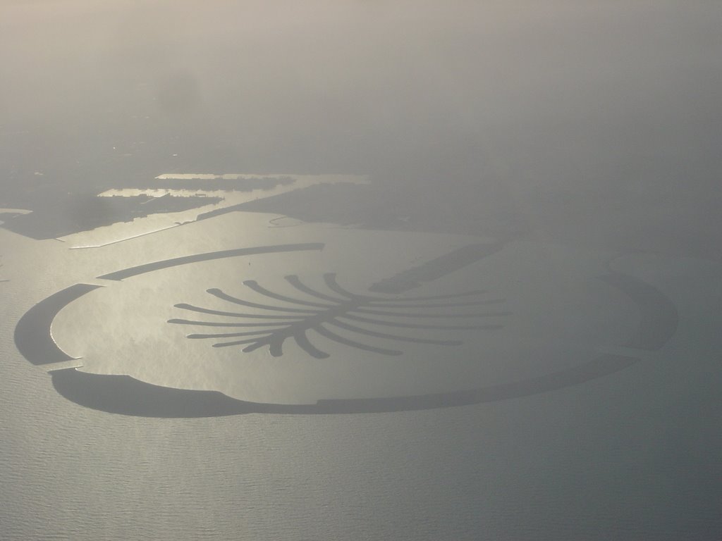 The Palm-Jebel Ali -View from Airplane Window by Alireza Shakernia