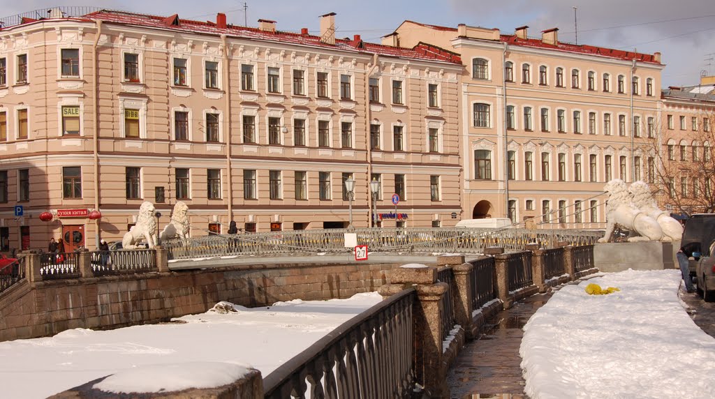 Lion's bridge at Griboyedov Channel by Antonina Cherpak