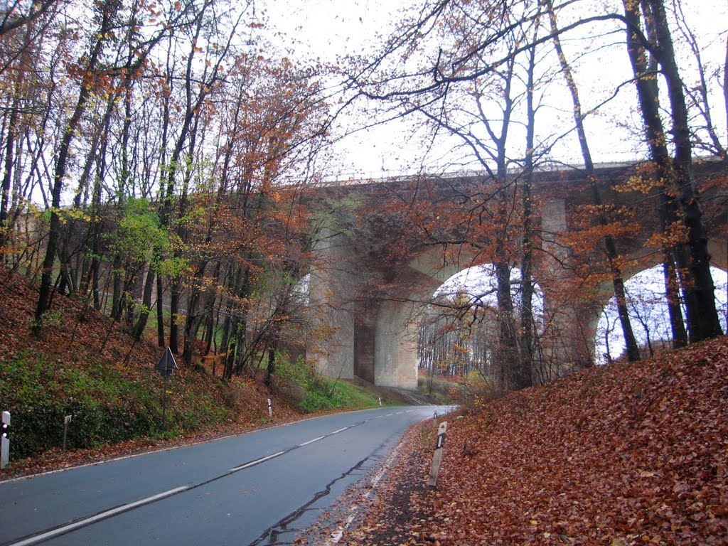 Porta Westfalica. (Buckeburg, GERMANY) by phamhoanghai