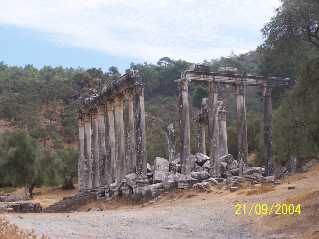 Temple of Zeus, Euromos, Selimiye, Turkey by Miša M.