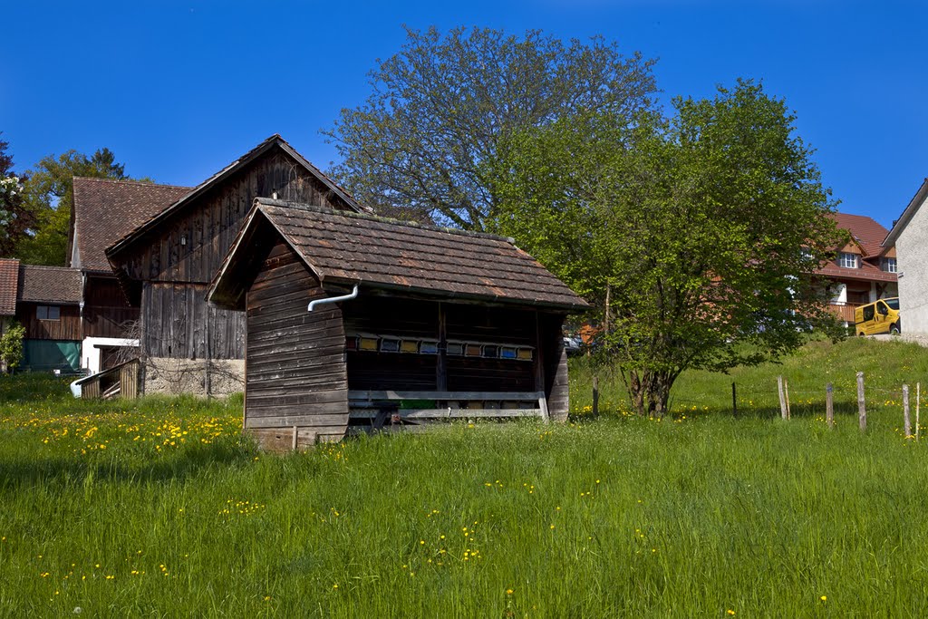 Bienenhaus_Birchwil_Nuerensdorf by MaCello