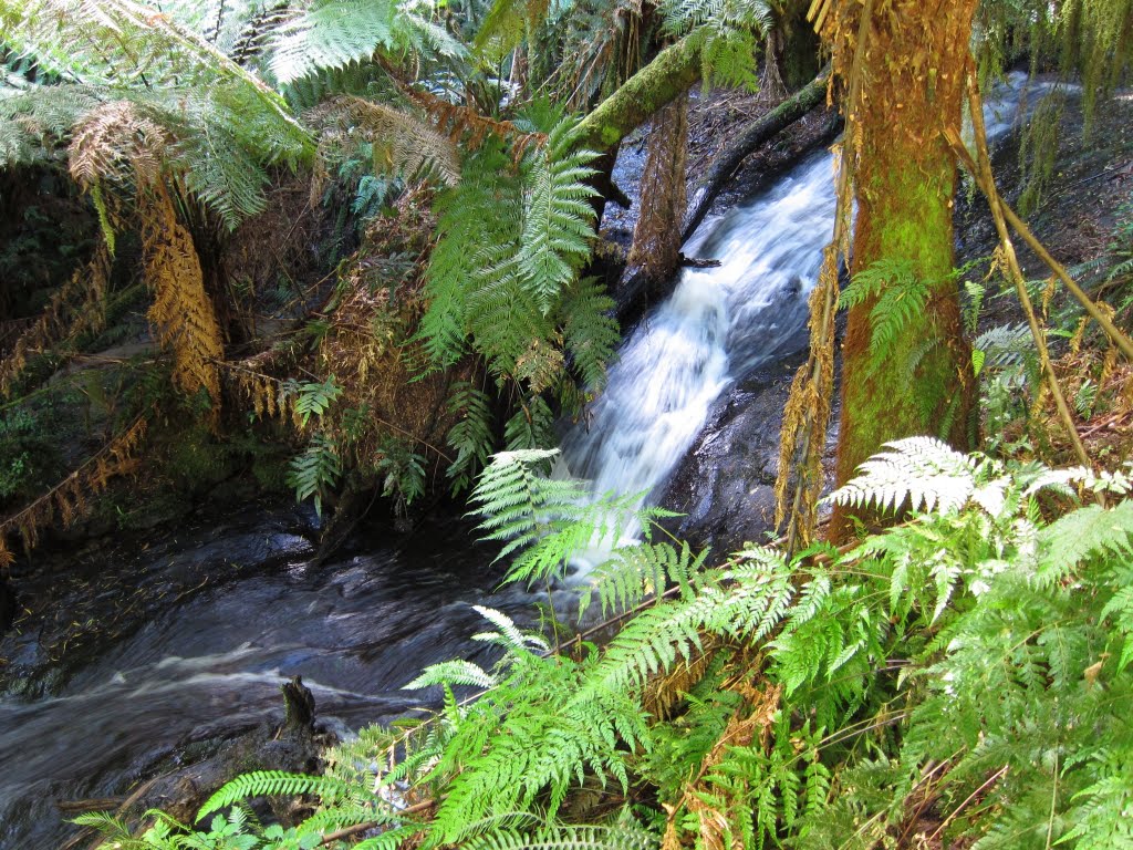 Madsen's Track Walk small waterfall by Issamel