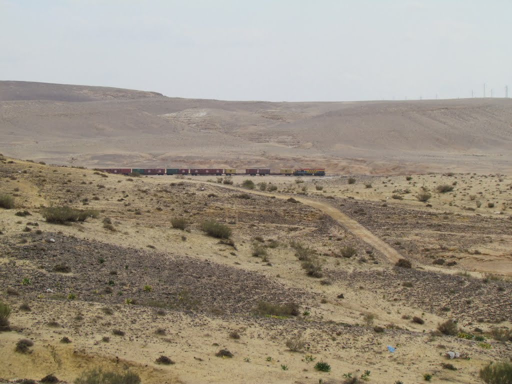 2953 Dimona, a freight train coming down the desert landscape Nahal Zin phosphate plant by Kobi Zilberstein