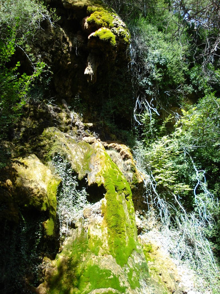 La Toba, cascada en Verano by SoriaVictor