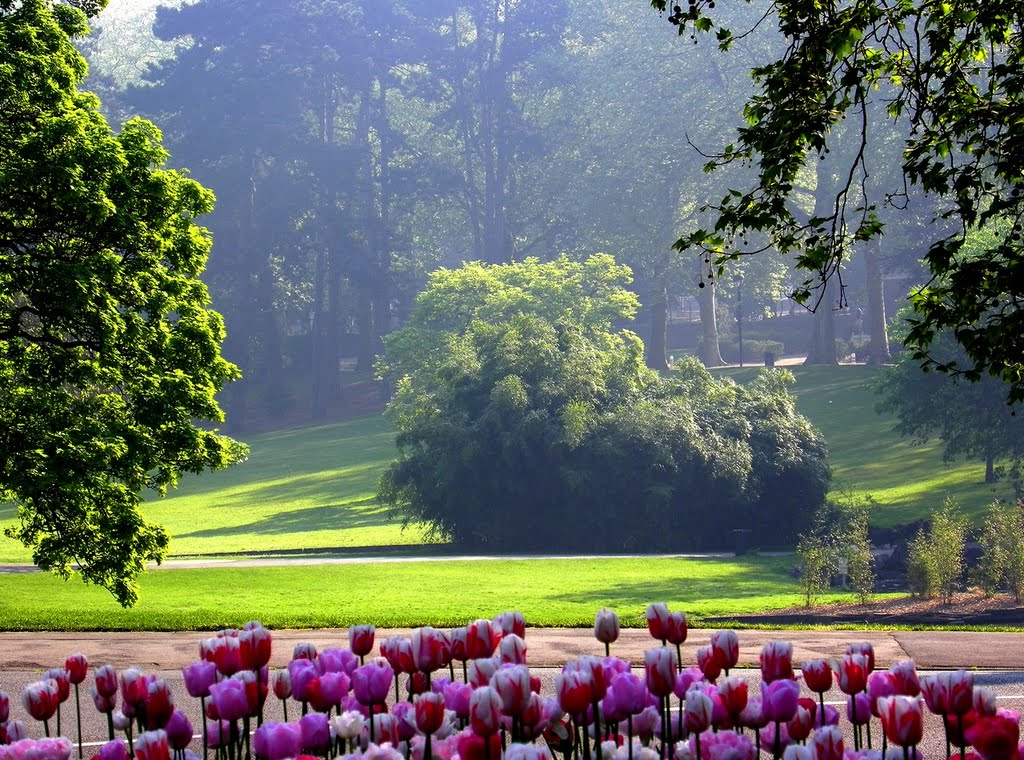 Roubaix - Parc barbieux - Zoom sur l'autre coté du parc by epaulard59