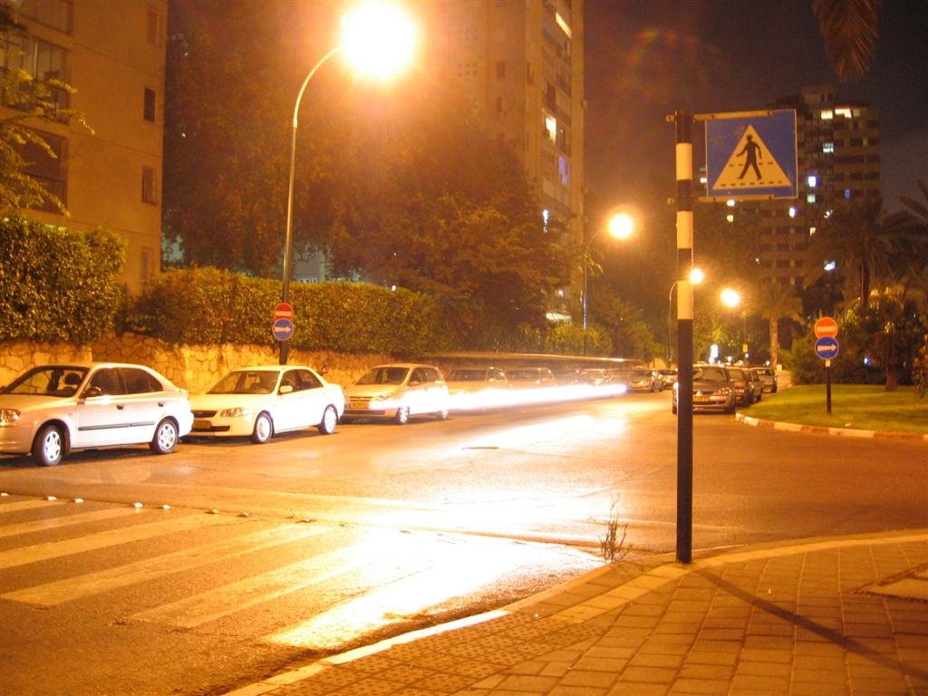 Pasternak street Ramat Aviv by Udi Kimchy