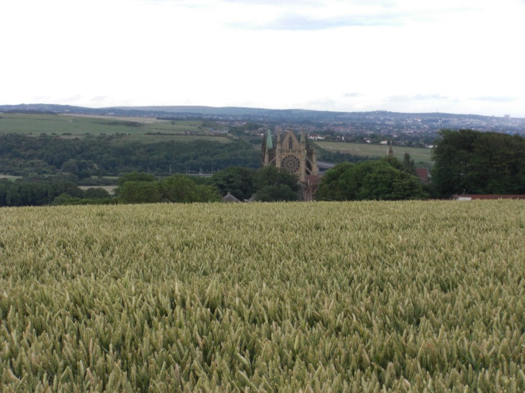 View of Lancing College Chapel from a nearby wheat field (3) by gteapot