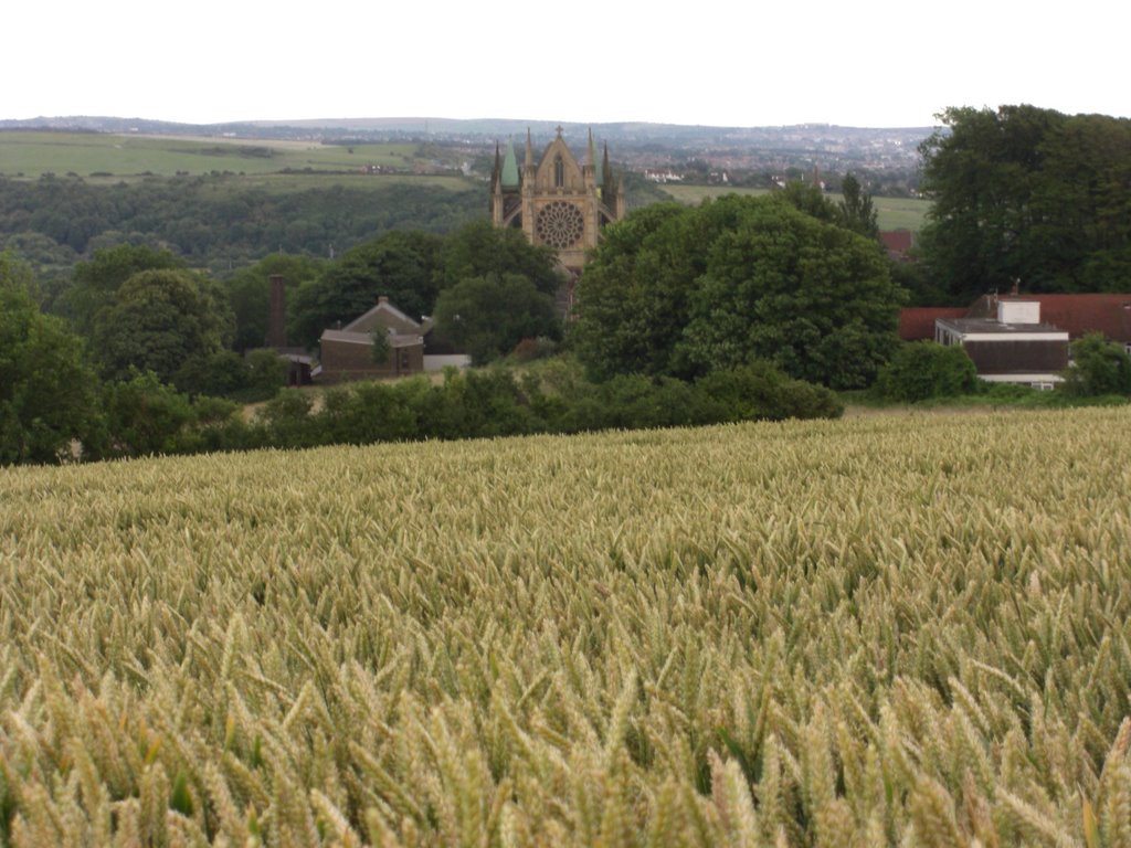 View of Lancing College Chapel from a nearby wheat field (1) by gteapot