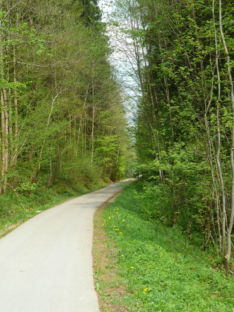 Radweg von Beuerberg nach Eurasburg by tigwor