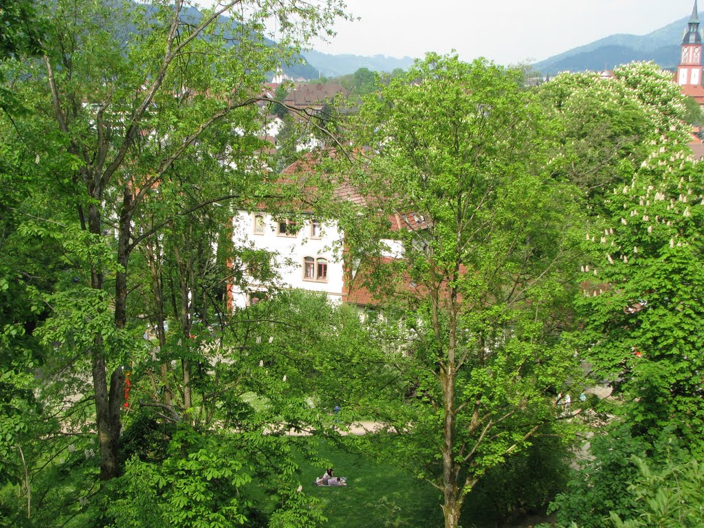 Blick auf Waldkirch 04.2011 by znamyRene