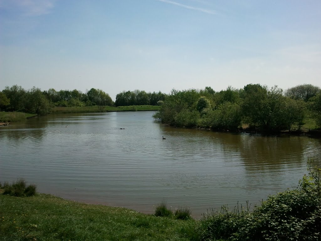 Lake at st mellons by russy