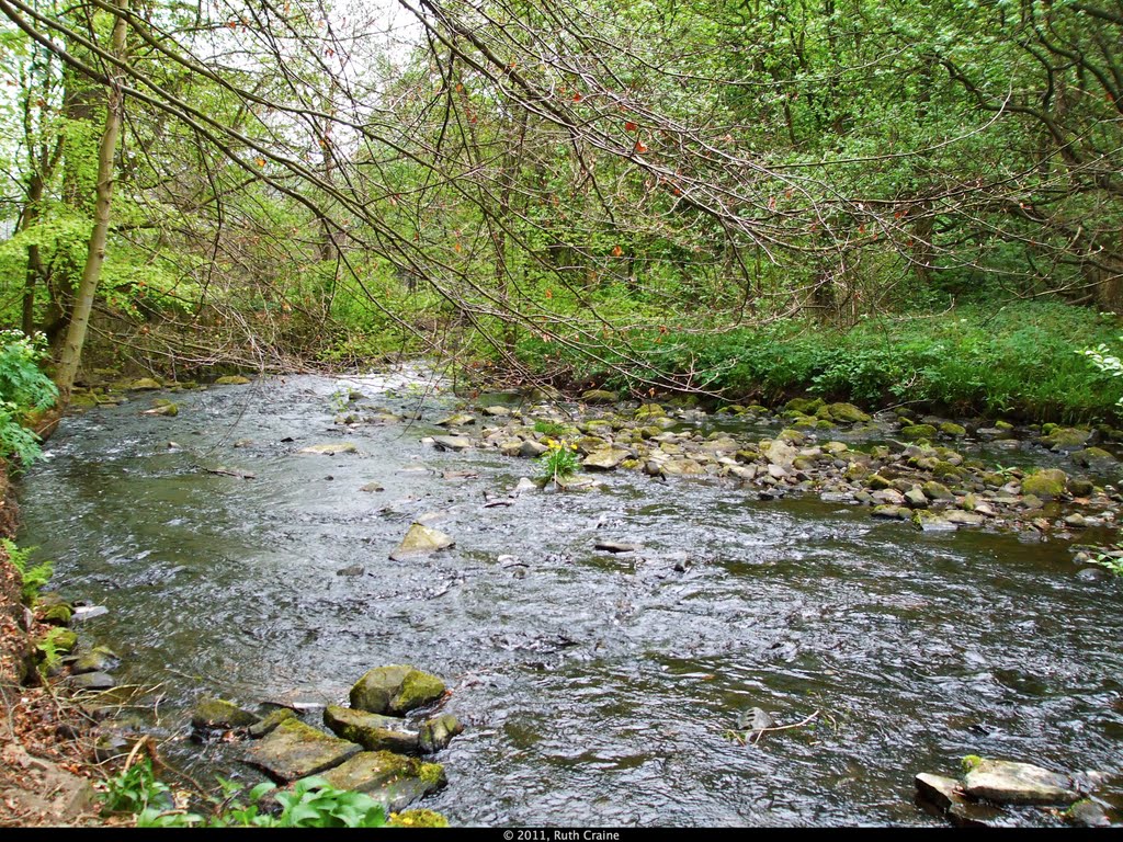 River Ryburn, Ripponden by rustyruth