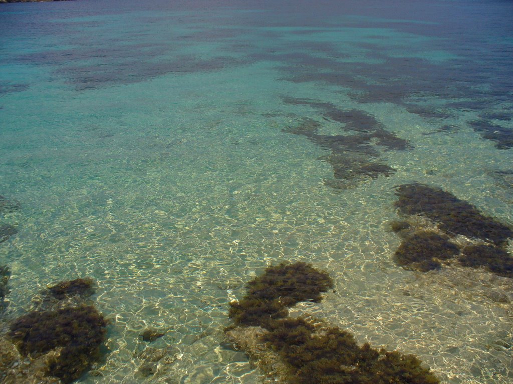 Comino 2006 ( Diese Bucht ist die einsamste und schönste von ganz Comino ) by T.H.