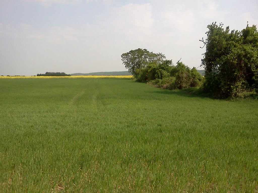 Sur la route de Boiveau. (2) by michel.ambiehl