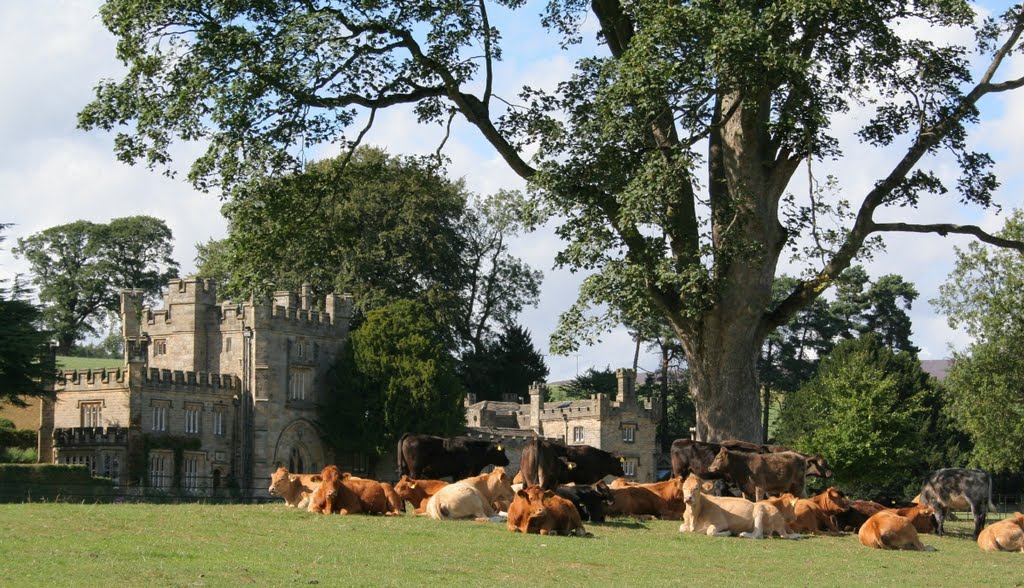 Bolton Abbey by Oddlegs