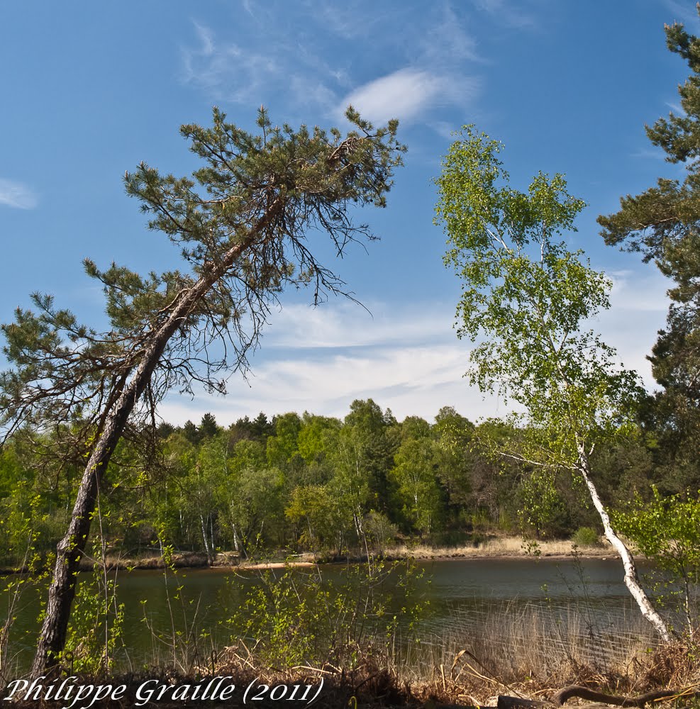 Lac de Miel (Corrèze) by Philippe GRAILLE