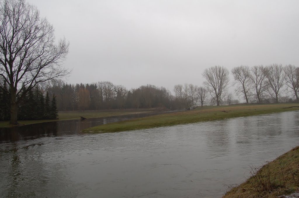 Mündung der Oker in die Aller by Timberjack1982