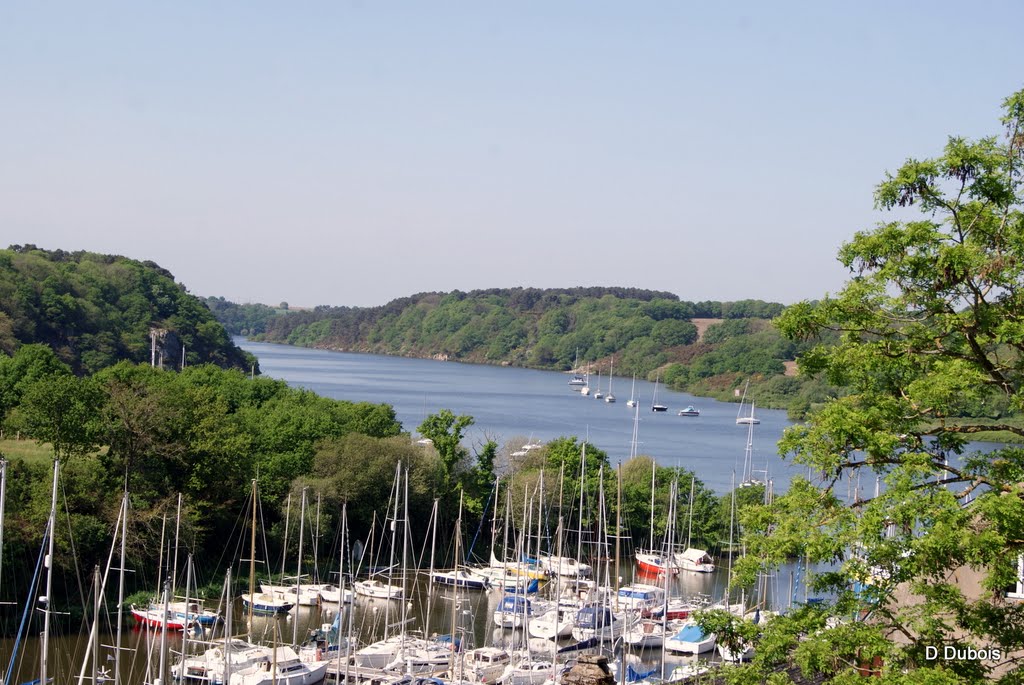 La Roche Bernard La Vilaine et le vieux port Bretagne by dom44