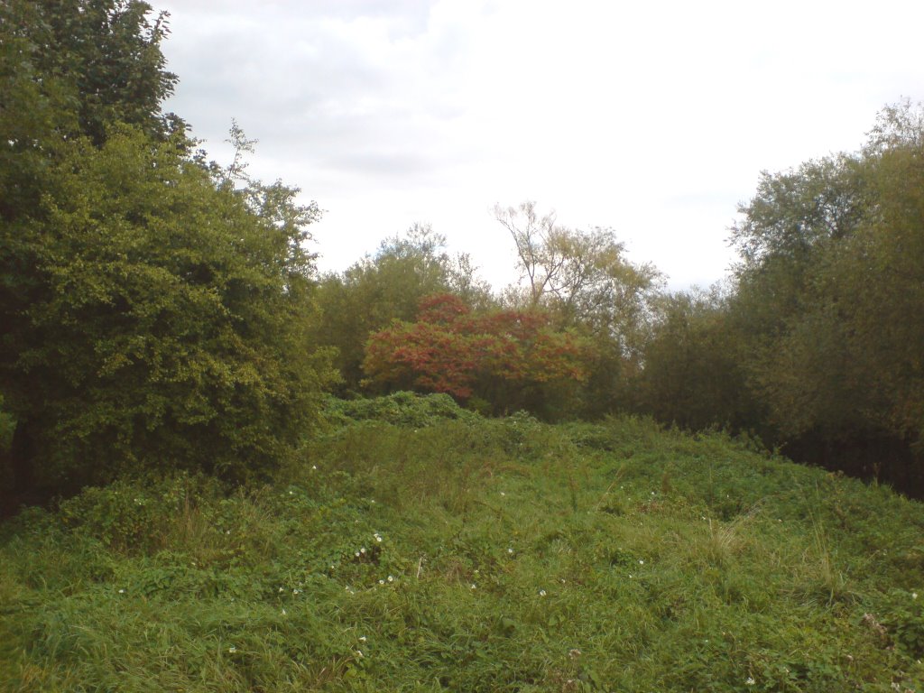 Wandle Trail by UncleRiotous