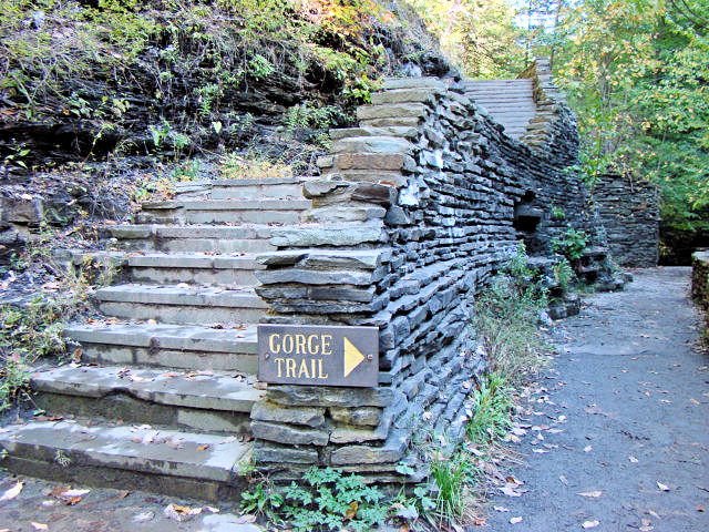 Trail stairs Watkins Glen by D. Jenison