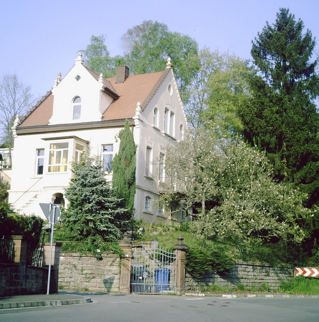 Hochspeyer im Frühling by Josef Hermann