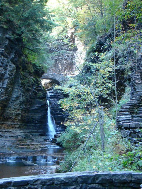 Watkins Glen by D. Jenison