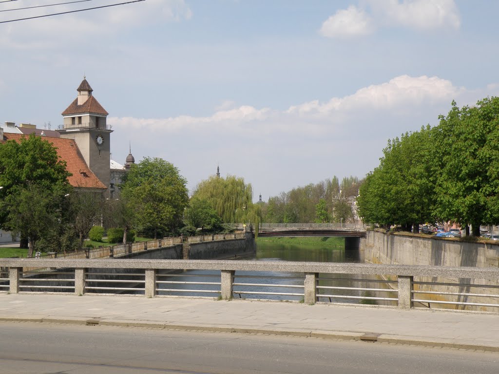 View from the bridge over the Morava river / Pohled z mostu nad Moravou by DM brothers