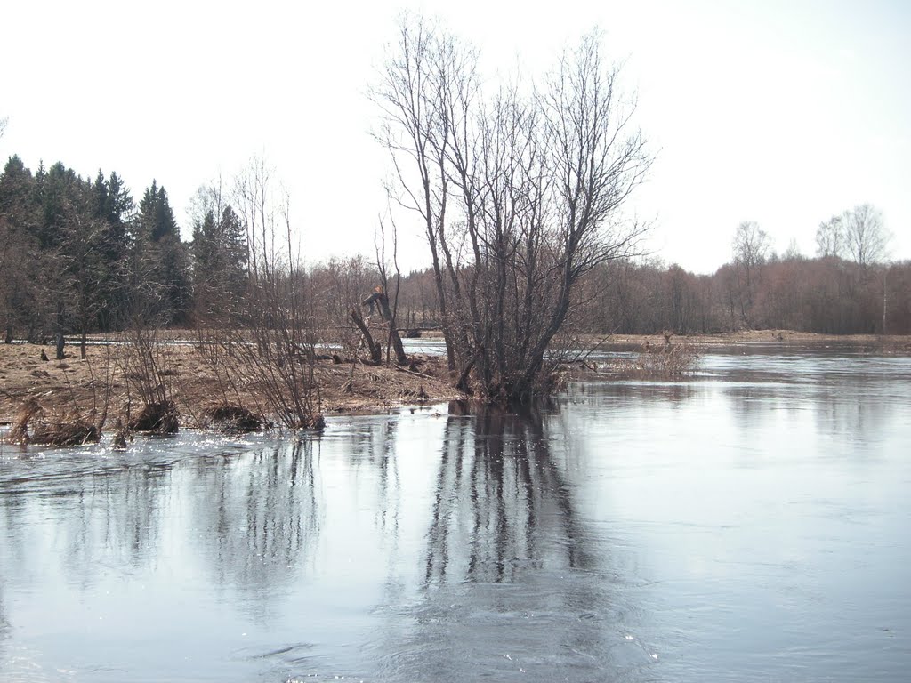 Река Логовежь - разлив by Hack_