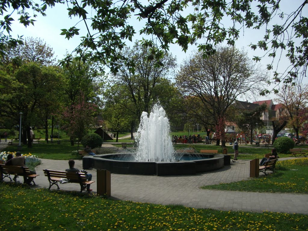 # 32. Sibiu - Parcul Tineretului by Fanea  Cristian