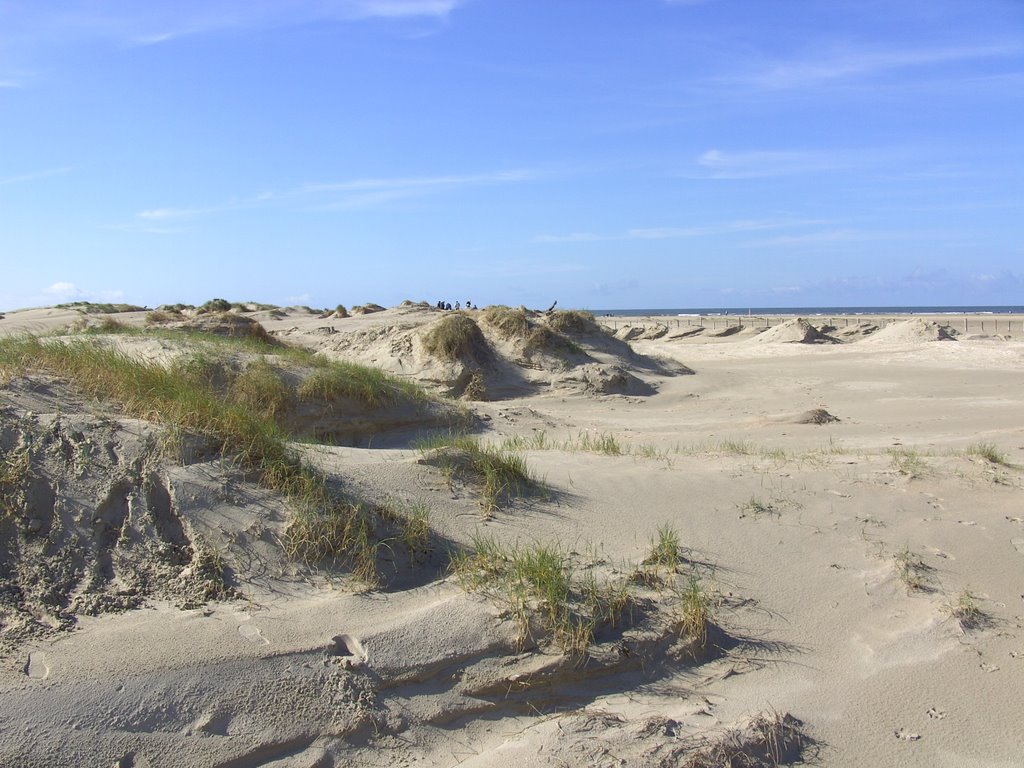 Lakolk stranden 2 by Eigil Wollesen