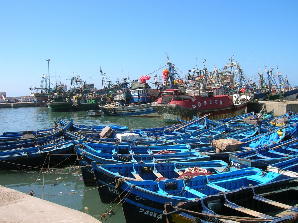 PORTO ESSAOUIRA by Franco Sartor