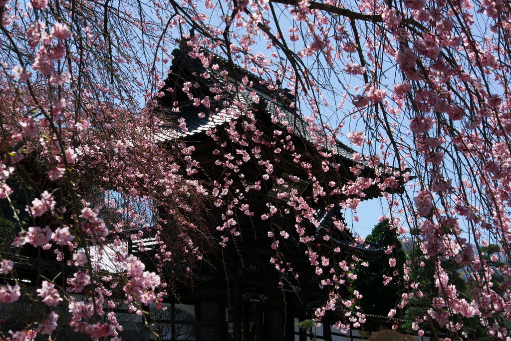 蔵澤寺　駒ヶ根市　Zotakuji Komagane by imakuman