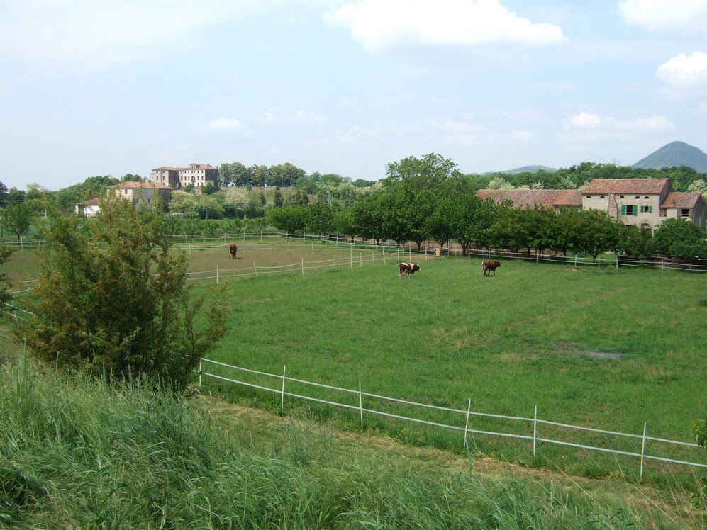 Cà Barbaro paesaggio dal'argine by sandox6511