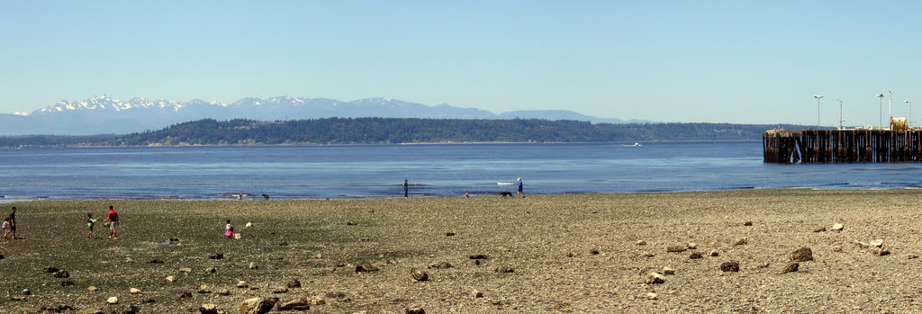 Puget Sound & Olympics from Edmonds Beach, 6/06 by DWill64