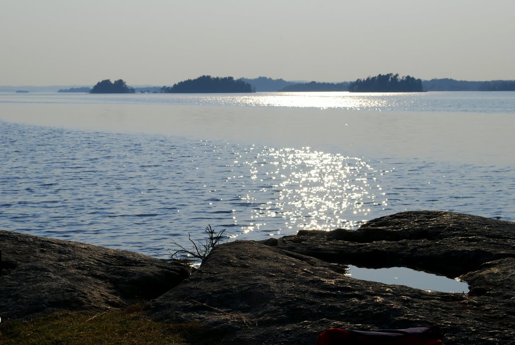 Mjörn vid Alingsås,Sweden,2011. by Despina Mousafiri