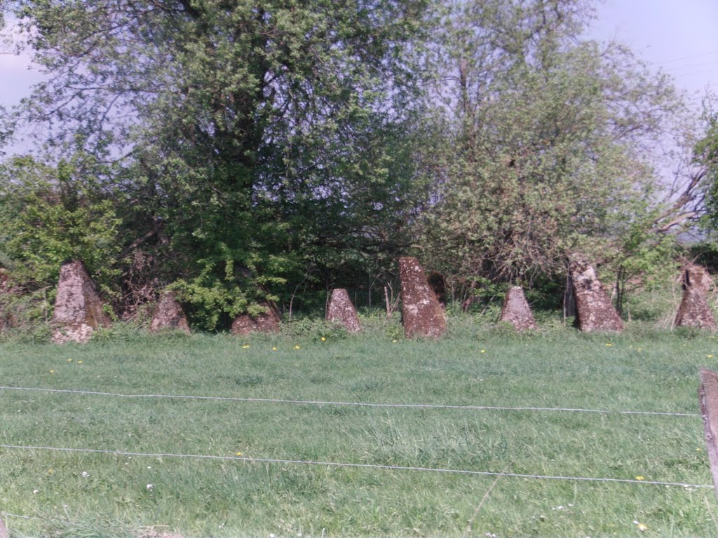 Zeitzeugen "Panzersperren des Westwalls" by ©Elisabeth van Langen