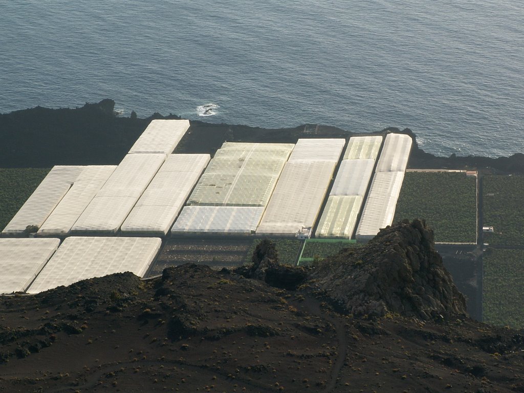 Greenhouses on west coast of La Palma by Mark Wijnen