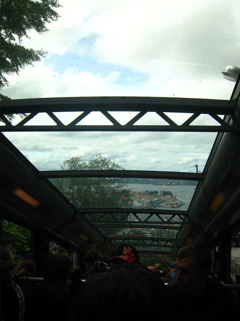 A view from the tram by CarmelH