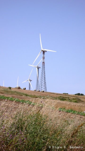 San Giorgio la Molara (BN), impianti eolico by Fiore S. Barbato