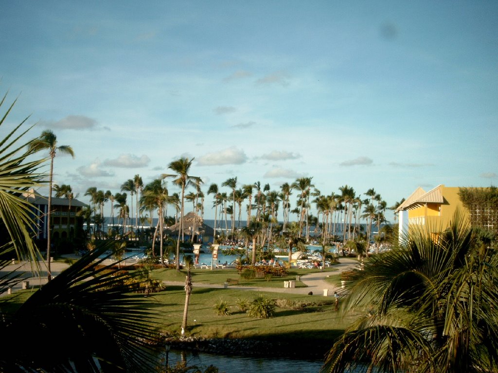 Grand Paradise Bavaro Pool by Rainer Hinze