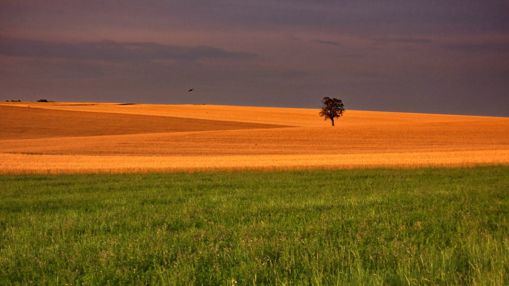 Wide fields near Slavětín by Petr Kraumann