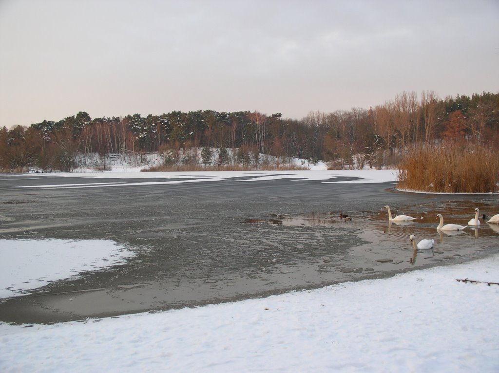 Die Lieper Bucht an der Havel by Ulrich R. Sieber