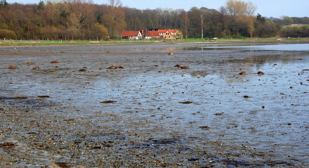 Ronde area, Danmark by Renatorius (Reno)