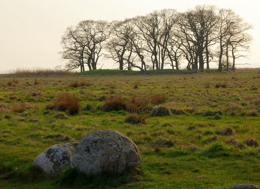 Ronde area, Danmark by Renatorius (Reno)