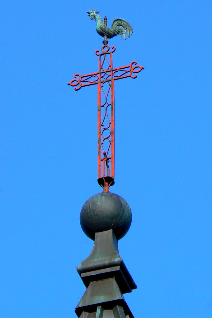 Croix et coq du clocher de Sarrogna (39) by Alain TREBOZ