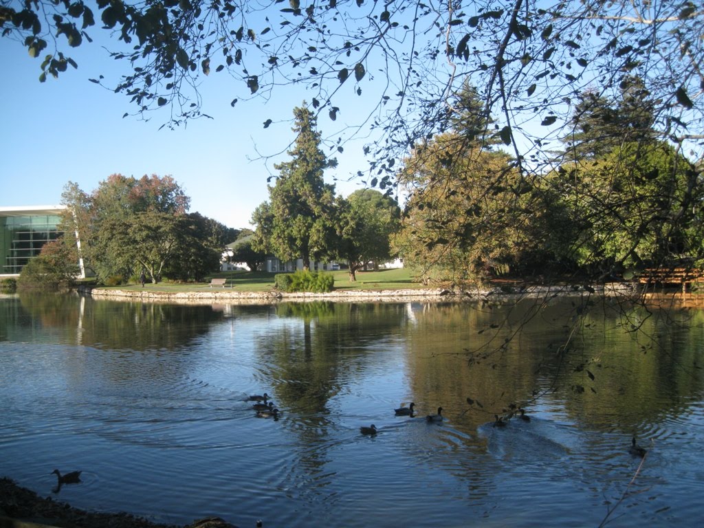 Campus of Waikato University by pvdung